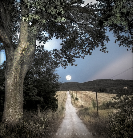 Oak tree and full moon