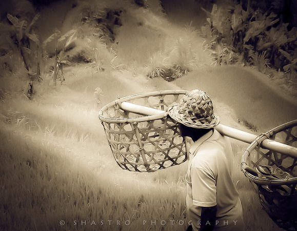 Hat weaver duotone