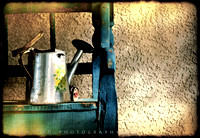 Watering can & soda