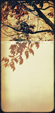 Shadow and wall